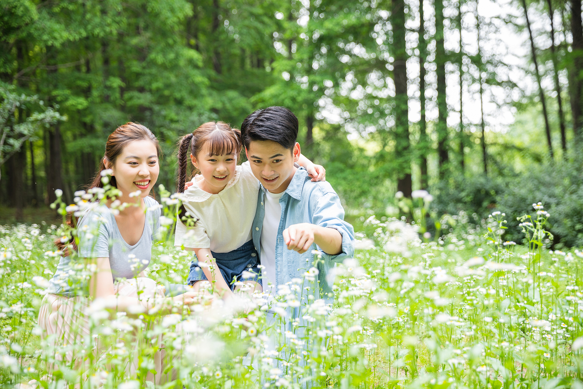 摄图网_500933920_一家人花丛中欣赏(企业商用)