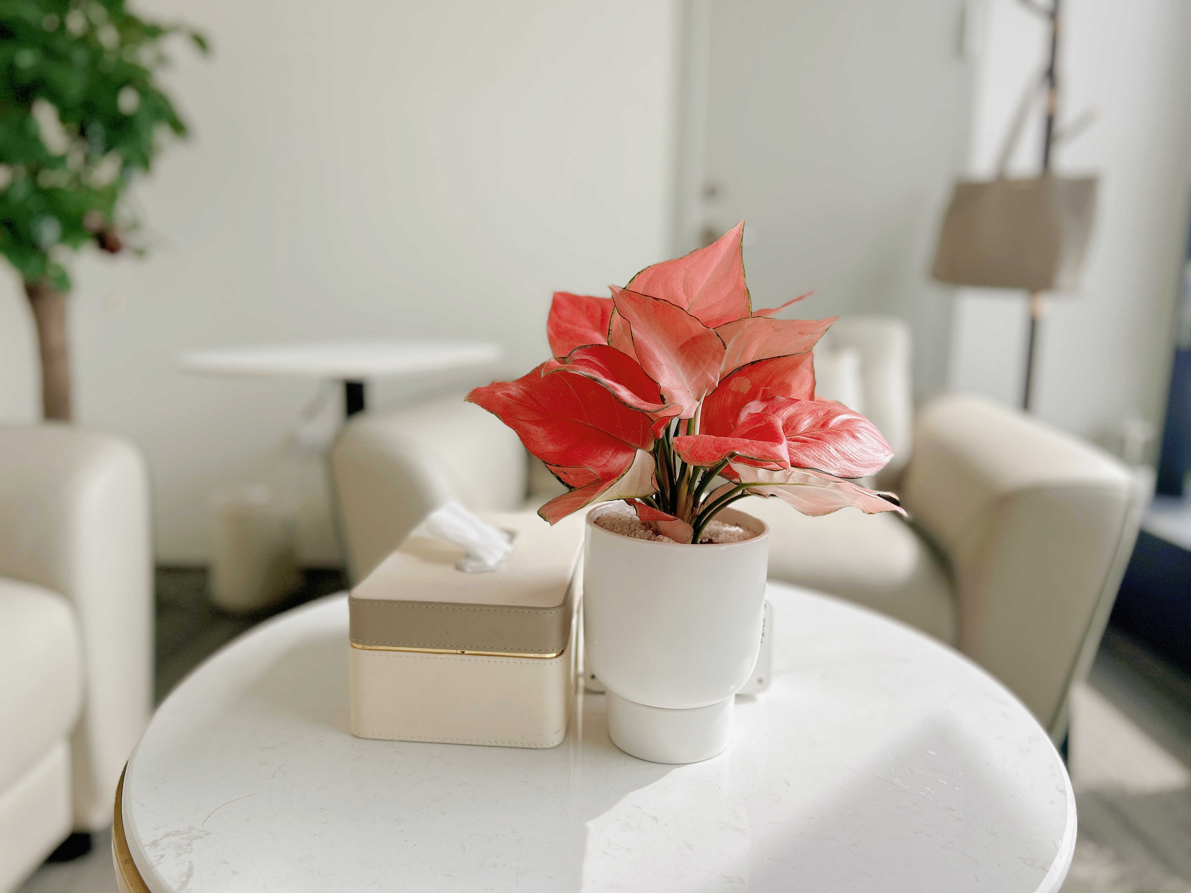 武汉婚姻情感咨询：夫妻之间感情越来越淡怎么办？