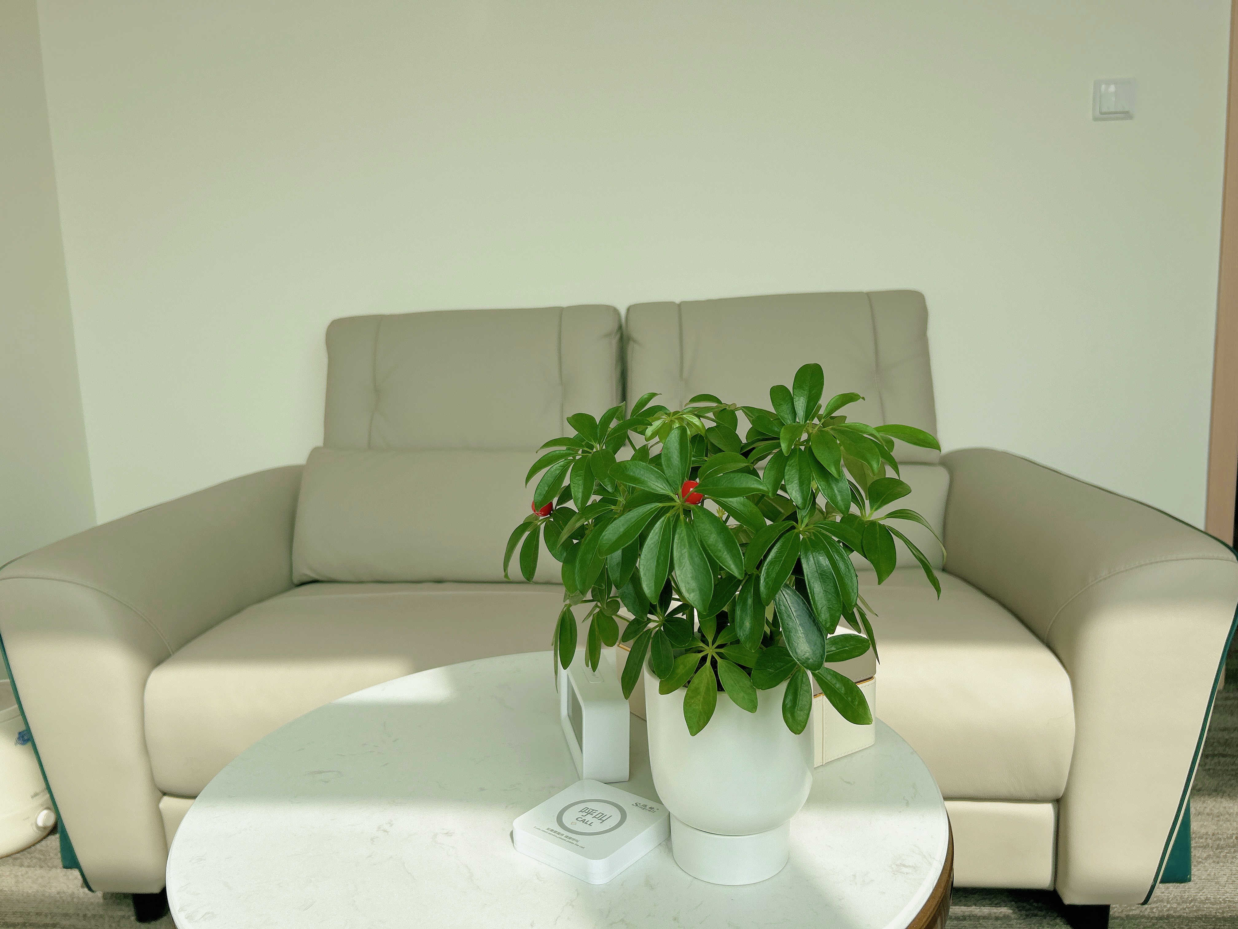 武汉婚姻情感咨询：伴侣出轨该怎么办？